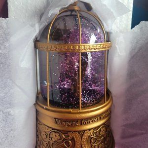 Taylor Swift Speak Now Snow Globe 💟🖤💟